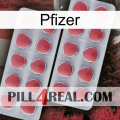 Pfizer 19